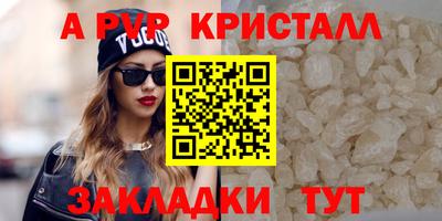 крисы Кунгур