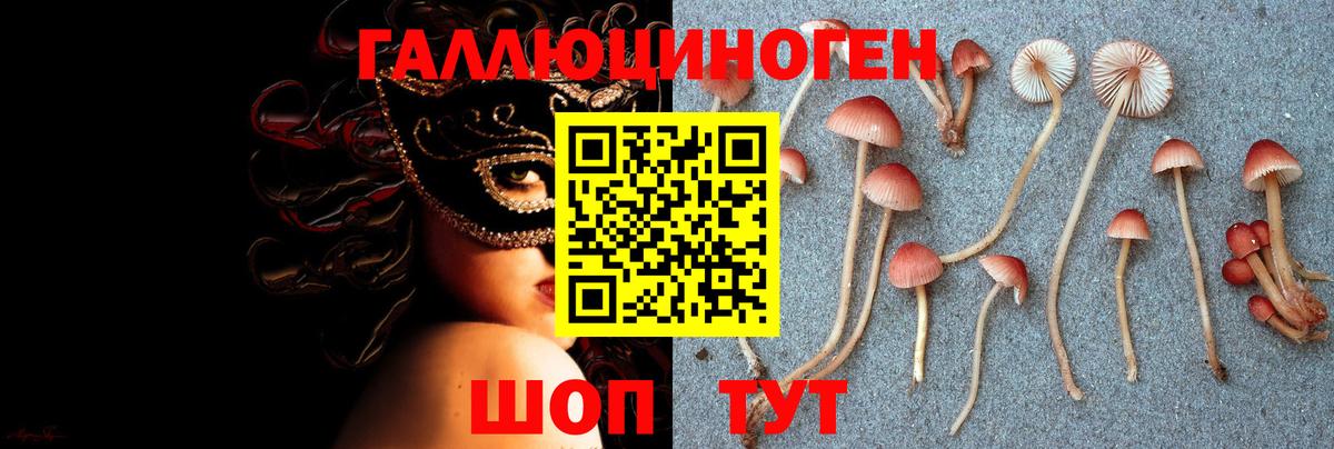 Галлюциногенные грибы Psilocybe  Галлюциногенные грибы GOLDEN TEACHER  Выкса  Вход с VPN 